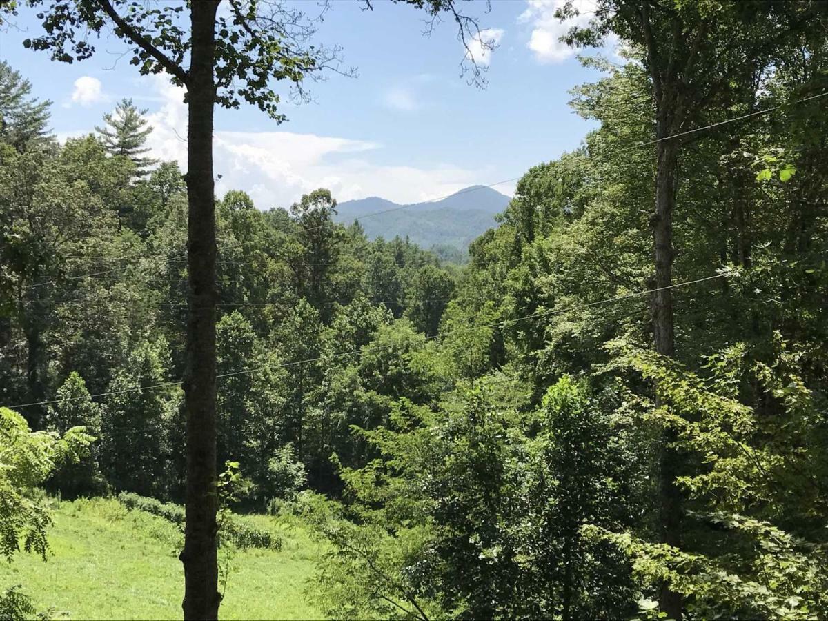 Moonshiner'S Hideaway Cabin Villa Bryson City Bagian luar foto